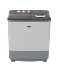 Fujidenzo 8 kg. Twin Tub Washer